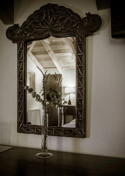 Δάφνη Φωτογραφία 9