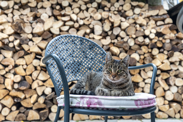 Cafe - Spa Φωτογραφία 26