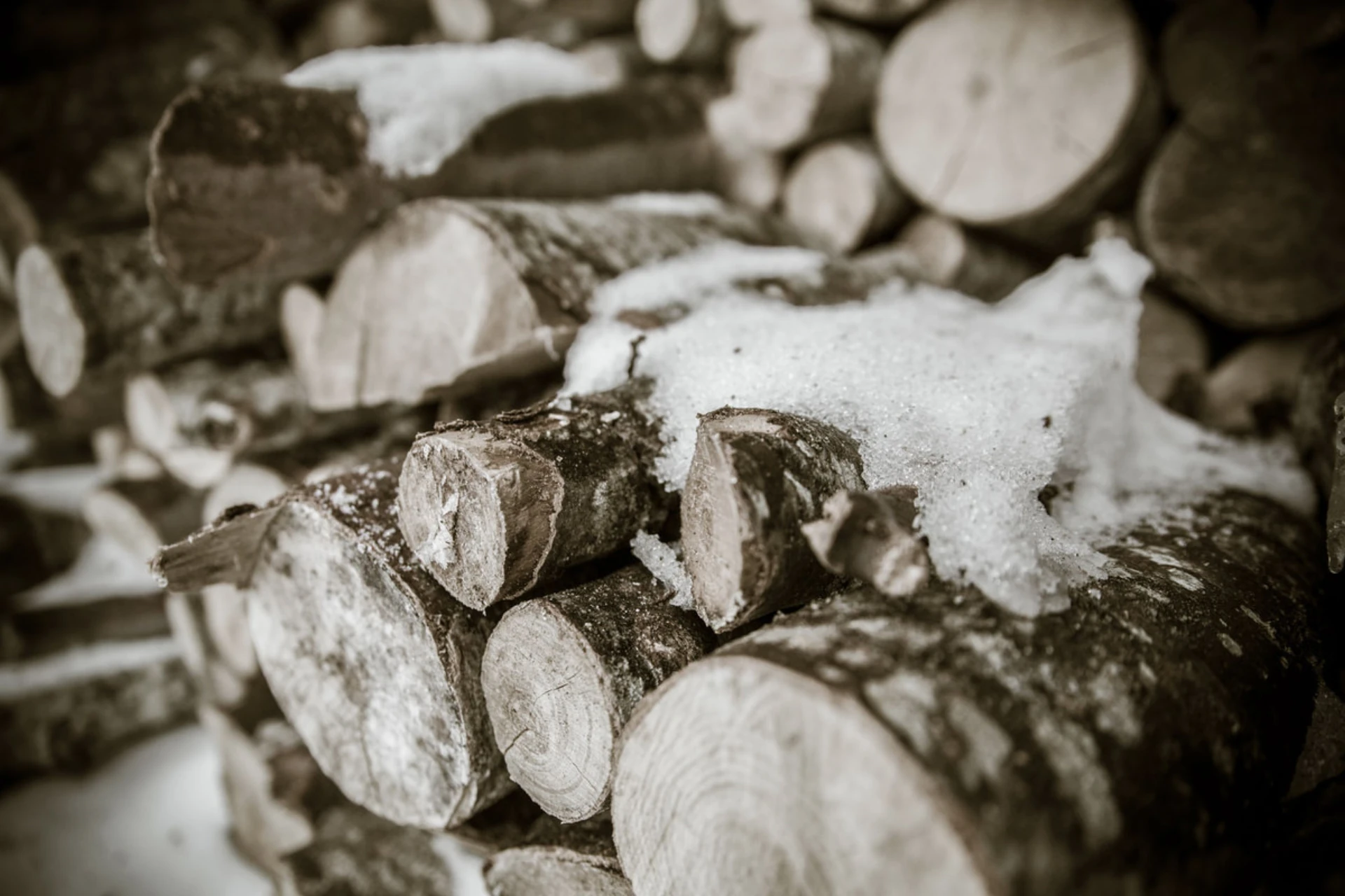 Nymfes Small Hotel Photo 14