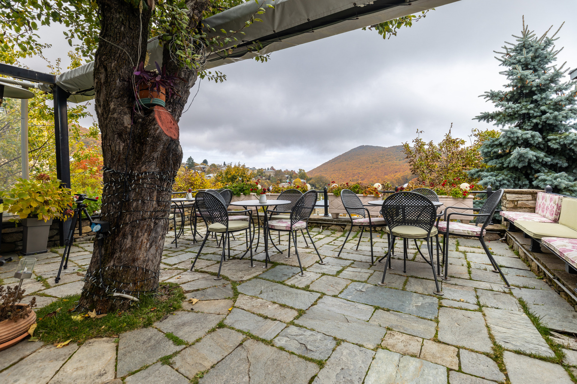 Μικρό Ξενοδοχείο Νύμφες Φωτογραφία 10