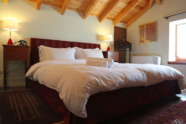 Δάφνη Φωτογραφία 3