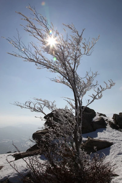 Αξιοθέατα στο Νυμφαίο Φωτογραφία 6