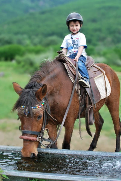 Αξιοθέατα στο Νυμφαίο Φωτογραφία 10