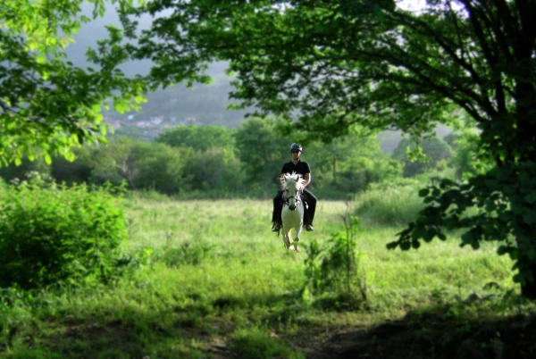Αξιοθέατα στο Νυμφαίο Φωτογραφία 17