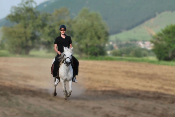 Αξιοθέατα στο Νυμφαίο Φωτογραφία 18