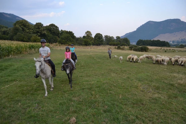 Αξιοθέατα στο Νυμφαίο Φωτογραφία 20
