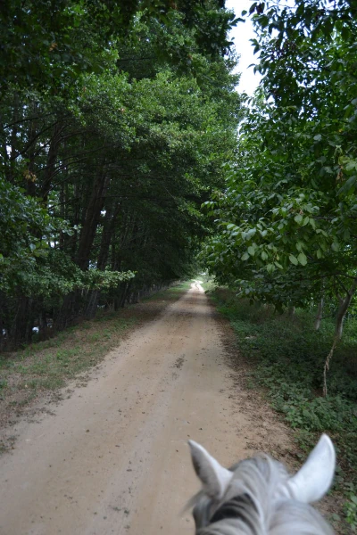 Αξιοθέατα στο Νυμφαίο Φωτογραφία 21