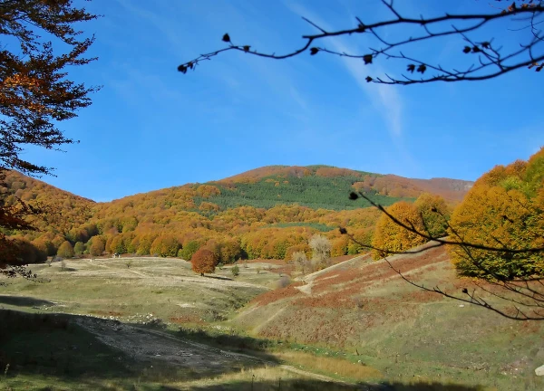 Αξιοθέατα στο Νυμφαίο Φωτογραφία 23