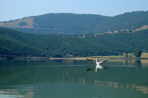 Αξιοθέατα στο Νυμφαίο Φωτογραφία 28